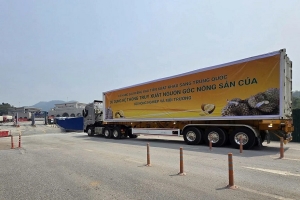 Sầu riêng truy xuất nguồn gốc lần đầu thông quan “luồng xanh”: Bước tiến số hóa chuỗi nông sản