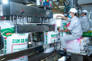 Đạm Cà Mau ước lãi quý I tăng mạnh, vượt xa kế hoạch năm