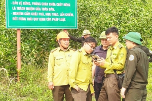 Bắc Ninh: Cảnh báo cháy rừng cấp nguy hiểm tại nhiều địa phương