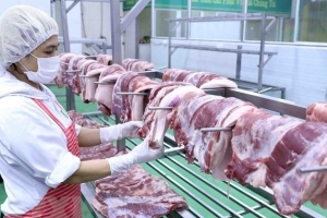 TP. HCM: Vận hành sàn giao dịch thịt lợn từ cuối tháng 4
