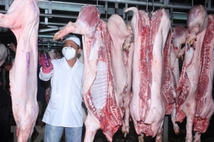 Lào Cai tăng cường kiểm soát hoạt động giết mổ và kinh doanh sản phẩm động vật không bảo đảm an toàn