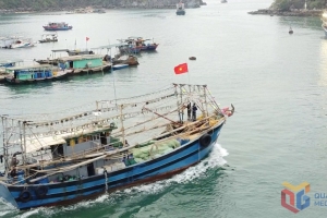 Quảng Ninh chuyển đổi phương thức khai thác, đảm bảo sinh kế cho ngư dân