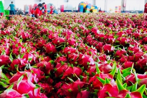 Trung Quốc và Trung Đông mang tin tích cực tới Việt Nam