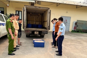 Hưng Yên tiêu hủy 570 kg lòng lợn không đảm bảo an toàn thực phẩm