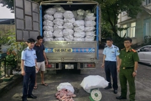 Quảng Ninh: Thu giữ hơn 12 tấn chân lợn đông lạnh không rõ nguồn gốc