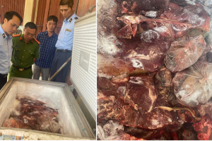 Hưng Yên: Xử phạt cơ sở tàng trữ 42 kg thịt trâu ôi thiu, biến đổi màu sắc