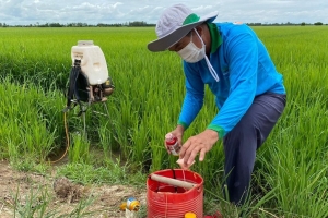 Phổ biến quy định EPR đối với thuốc bảo vệ thực vật, phân bón