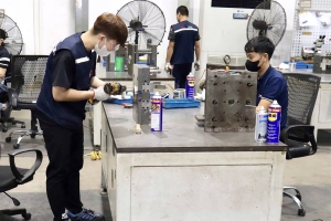 Hải Phòng: Cơ chế, chính sách đặc biệt thúc đẩy phát triển kinh tế tư nhân