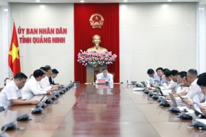 UBND tỉnh Quảng Ninh cho ý kiến về kế hoạch phát triển Vịnh Cửa Lục