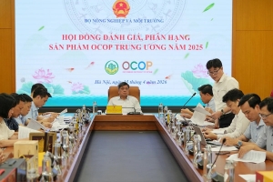 40 sản phẩm OCOP đạt chuẩn 5 sao: Khẳng định chất lượng, mở rộng dư địa vươn ra thị trường quốc tế