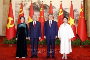 Tổng Bí thư, Chủ tịch nước Tô Lâm hội đàm với Tổng Bí thư, Chủ tịch nước Trung Quốc Tập Cận Bình