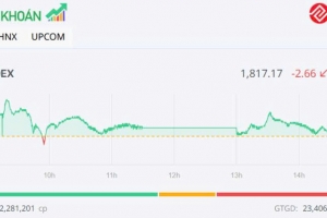 VN-Index có tuần tăng điểm thứ tư liên tiếp, MWG nổi bật với sắc tím