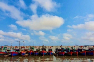 Thanh Hóa ban hành kế hoạch điều tra, đánh giá nghề cá thương phẩm