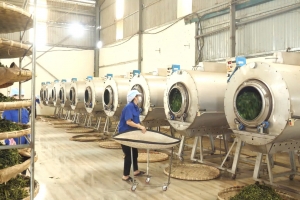 Lào Cai thúc đẩy công nghiệp nông thôn bằng chương trình khuyến công năm 2026
