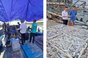 Đến hết quý II, 100% tàu cá ra, vào cảng được kiểm soát, cập nhật và kê khai sản lượng khai thác trên hệ thống eCDT