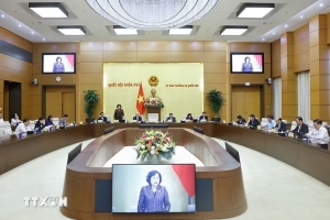 Rà soát kỹ việc giao quy định ngưỡng doanh thu miễn thuế với hộ kinh doanh