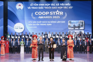 Doanh nghiệp Việt trước yêu cầu mới của thị trường toàn cầu: Áp lực chuyển đổi và cơ hội bứt phá