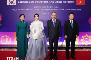 Quan hệ Việt Nam – Hàn Quốc phát triển toàn diện, thực chất