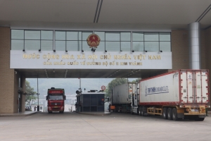 Hải quan khu vực VII: Tăng cường kiểm soát đối với thực phẩm xuất nhập khẩu