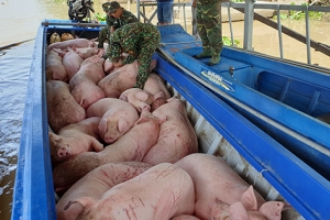 Chủ động giám sát, ngăn chặn nhập khẩu bất hợp pháp động vật và sản phẩm động vật