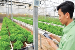 Lâm Đồng: Chú trọng ứng dụng chuyển đổi số trong sản xuất nông nghiệp