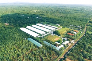 Tăng trưởng xanh: Điều kiện sống còn để doanh nghiệp giữ chỗ trên thị trường toàn cầu