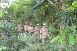 Tây Ninh tăng cường tuần tra, kiểm soát đốt đồng để phòng cháy rừng cao điểm