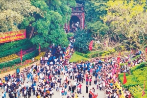 Như cây một cội, như con một nhà