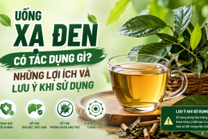 Uống xạ đen có tác dụng gì? Những lợi ích và lưu ý khi sử dụng