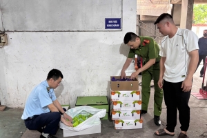 Lực lượng Quản lý thị trường Hà Nội siết chặt kiểm tra an toàn thực phẩm
