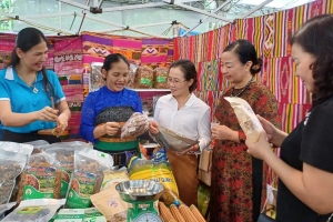 Thanh Hóa thực hiện Đề án "Hỗ trợ phụ nữ khởi nghiệp giai đoạn 2026-2035"