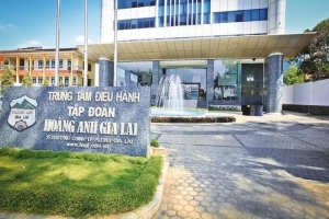 Hoàng Anh Gia Lai dự kiến phát hành 2.000 tỷ đồng trái phiếu
