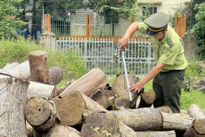 Chi cục Kiểm lâm tỉnh Cao Bằng: Xử lý 68 vụ vi phạm trong lĩnh vực lâm nghiệp