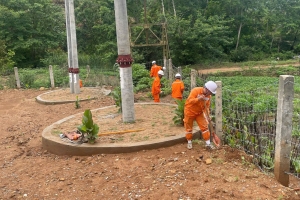 Công đoàn và Đoàn Thanh niên Công ty Điện lực Điện Biên chung tay xây dựng môi trường xanh - sạch - đẹp