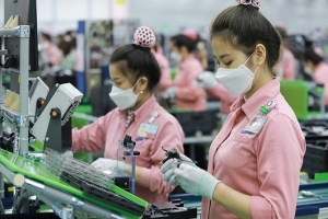 Thúc đẩy mạnh mẽ hơn nữa thương mại và đầu tư Việt Nam - Ấn Độ