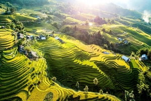 Giải chạy Sa Pa mùa nước đổ năm 2026 diễn ra vào ngày 17/5