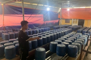 Quảng Ninh: Thu giữ gần 2 tấn giá đỗ "ngậm" hóa chất cấm đe dọa sức khỏe cộng đồng