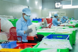 Cơ chế đóng góp và chi trả đối với bảo hiểm hưu trí bổ sung tự nguyện
