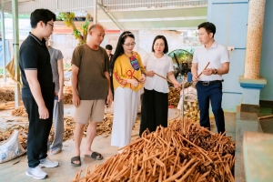 Lào Cai triển khai chương trình 1.000 doanh nghiệp tiên phong, tạo động lực tăng trưởng bền vững