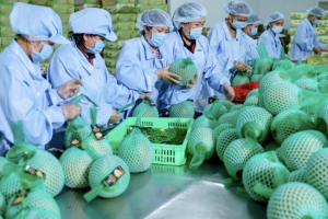 Xuất nhập khẩu duy trì đà tăng trưởng, thương mại quốc tế tiếp tục khởi sắc