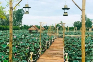 Đồng Tháp: Hơn 669.000 lượt khách trải nghiệm lễ hội và du lịch sinh thái