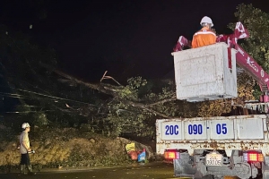 Điện lực Thái Nguyên đã khôi phục cấp điện cho khoảng 167.300 khách hàng