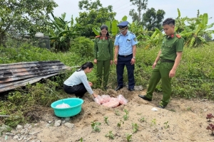 Nghệ An: Xử phạt hộ kinh doanh thực phẩm đông lạnh không rõ nguồn gốc