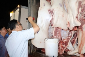 Siết phòng dịch tả heo châu Phi, TP. HCM yêu cầu giám sát đến tận cơ sở