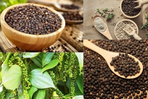 Hồ tiêu Việt Nam giữ vững “ngôi vương” toàn cầu, tăng tốc theo hướng bền vững