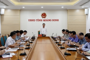 Ban chỉ đạo Thi hành án dân sự tỉnh Quảng Ninh họp đánh giá kết quả thực hiện nhiệm vụ