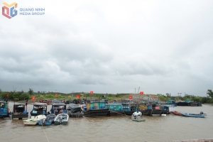 Quảng Ninh chủ động ứng phó với mưa lớn, dông lốc và gió mạnh trên biển