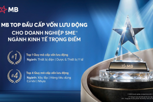 MB – Ngân hàng  top đầu Cấp vốn lưu động cho doanh nghiệp SME thuộc ngành kinh tế trọng điểm 