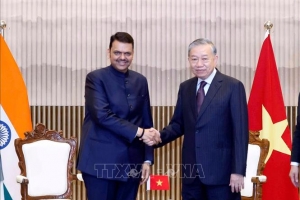 Tổng Bí thư, Chủ tịch nước Tô Lâm tiếp Thủ hiến bang Maharashtra Devendra Fadnavis