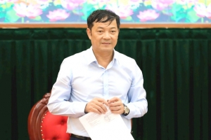 Lâm Đồng: Thành lập Ban Chỉ đạo giao rừng, cho thuê rừng